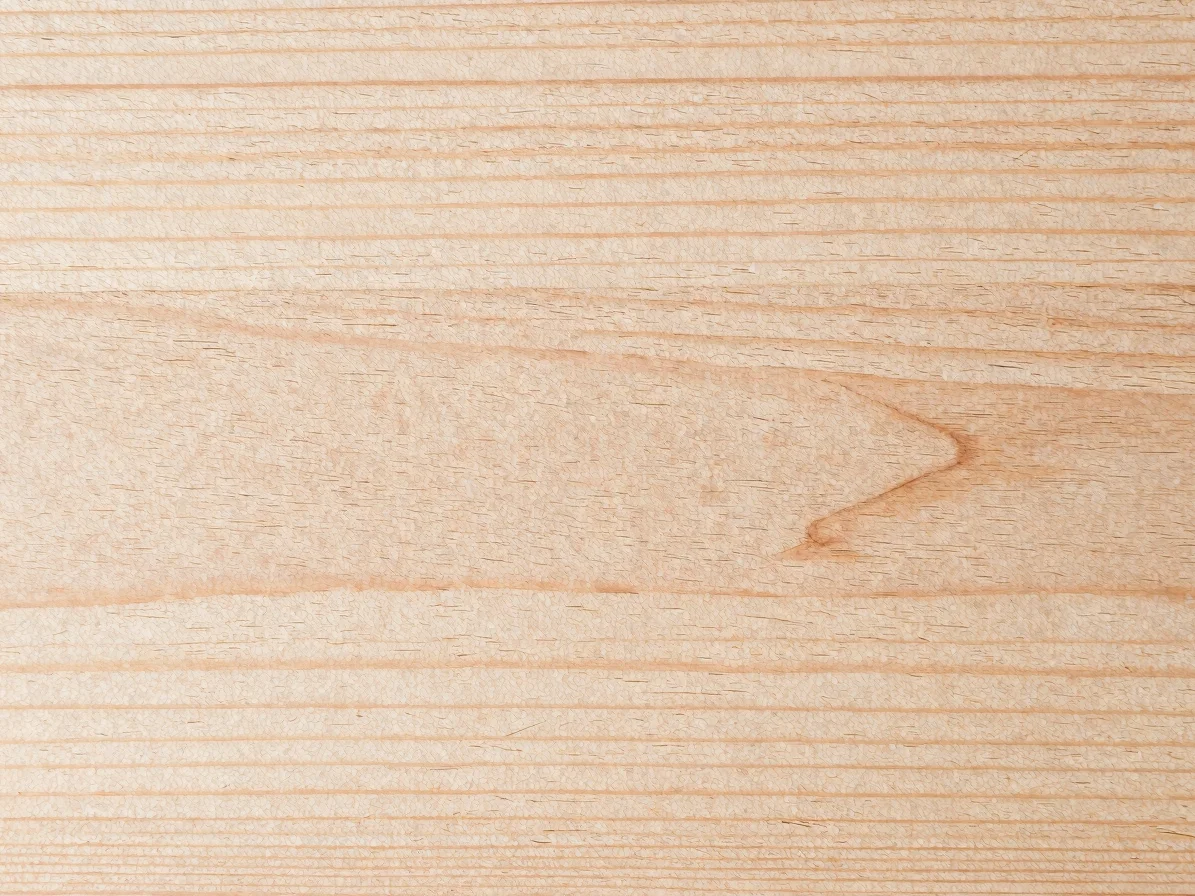 Close-up straight-on view of natural veneer sheet grain, soft directional daylight, crisp fibre detail, uncluttered fram